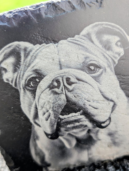 Custom Pet Portrait Engraved Slate Coaster – Upload Your Photo  Personalized Gift